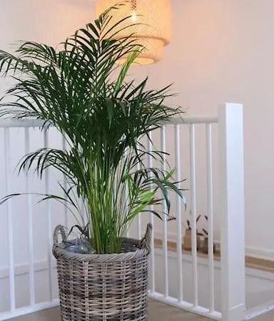 Modern Nordic Near And Svanninge Hills With Free Parking 빌라